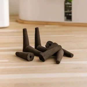 10x Växtsvampar för inomhus köksträdgårdar