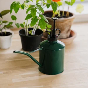 2 i 1 vattenkanna & spruta, 0,625 L