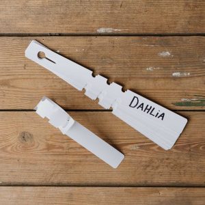 Dahlia Etiketter