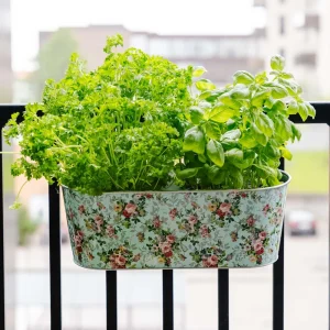 Balkonglåda med krok, L: 39,3 cm B: 28,9 cm H: 26,2 cm