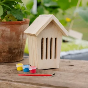 Gör det själv fjärilshus med färg