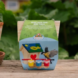 Gör det själv fågelbord med färg