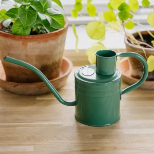 Inomhus vattenkanna i metall, 1 L, salviagrön