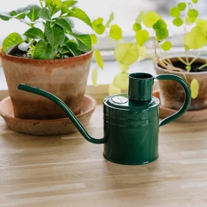 Inomhus vattenkanna i metall, 1 L, skogsgrön