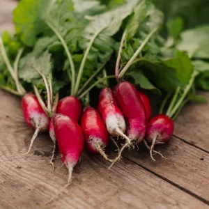 Rädisfrön 'French Breakfast 2' - 50 Ekologiska frön